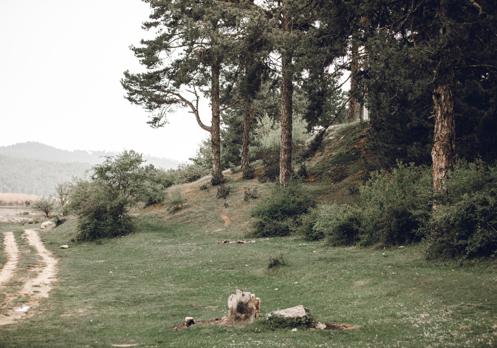 This image for Image Layouts addon